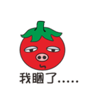 pig tomato（個別スタンプ：26）