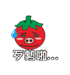 pig tomato（個別スタンプ：37）