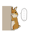 ちょっとむかつくうさぎ（個別スタンプ：39）