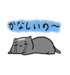 ちょこ猫と時々主人（個別スタンプ：11）