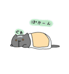 ちょこ猫と時々主人（個別スタンプ：30）