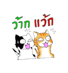 Cat Cat O（個別スタンプ：11）