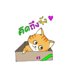 Cat Cat O（個別スタンプ：17）