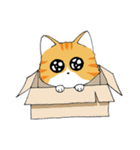 Cat Cat O（個別スタンプ：35）