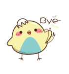 Blue belly chick（個別スタンプ：6）