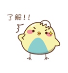 Blue belly chick（個別スタンプ：24）