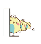 Blue belly chick（個別スタンプ：33）