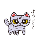 サバトラのスー（個別スタンプ：1）