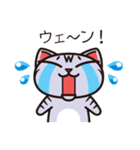 サバトラのスー（個別スタンプ：36）