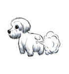 Dodo Maltese（個別スタンプ：8）