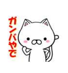 関西弁の白ネコ（個別スタンプ：1）