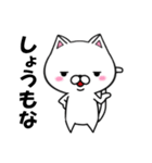 関西弁の白ネコ（個別スタンプ：11）