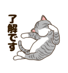 毎日ねこ生活（個別スタンプ：4）