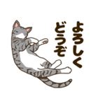 毎日ねこ生活（個別スタンプ：5）