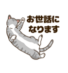 毎日ねこ生活（個別スタンプ：8）