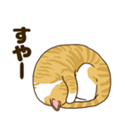 毎日ねこ生活（個別スタンプ：15）