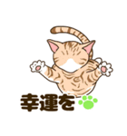 毎日ねこ生活（個別スタンプ：18）