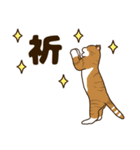 毎日ねこ生活（個別スタンプ：19）