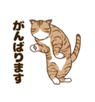 毎日ねこ生活（個別スタンプ：21）