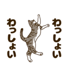 毎日ねこ生活（個別スタンプ：22）