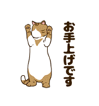 毎日ねこ生活（個別スタンプ：24）