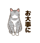 毎日ねこ生活（個別スタンプ：26）