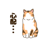 毎日ねこ生活（個別スタンプ：27）