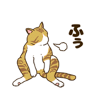 毎日ねこ生活（個別スタンプ：28）