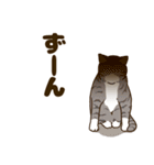 毎日ねこ生活（個別スタンプ：31）