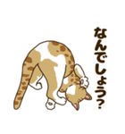 毎日ねこ生活（個別スタンプ：34）