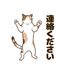 毎日ねこ生活（個別スタンプ：35）