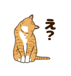 毎日ねこ生活（個別スタンプ：36）