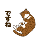 毎日ねこ生活（個別スタンプ：37）