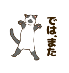 毎日ねこ生活（個別スタンプ：40）