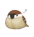 fat sparrow ver.2（個別スタンプ：17）