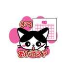 白黒はちわれ猫 べりーちゃん♪ [約束編]（個別スタンプ：9）