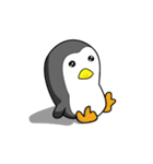 The Gray Seal and Gray Penguin（個別スタンプ：30）