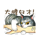 Meow meow Woo（個別スタンプ：14）