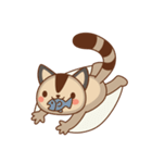 Sugar Cat Glider（個別スタンプ：8）