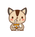 Sugar Cat Glider（個別スタンプ：26）