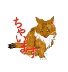 関西弁なネコやねん（個別スタンプ：4）