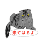 関西弁なネコやねん（個別スタンプ：30）