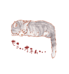catanoryneco猫ver.（個別スタンプ：39）