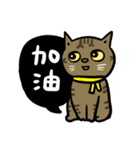 fumeancats (2015 winter)（個別スタンプ：5）