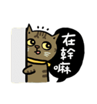 fumeancats (2015 winter)（個別スタンプ：19）