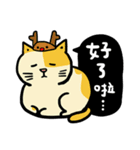 fumeancats (2015 winter)（個別スタンプ：21）