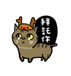 fumeancats (2015 winter)（個別スタンプ：23）