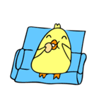 ぴよこりん2（個別スタンプ：24）