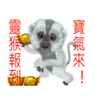 Monkey Xingtai Yun（個別スタンプ：9）