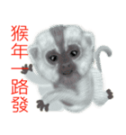 Monkey Xingtai Yun（個別スタンプ：10）